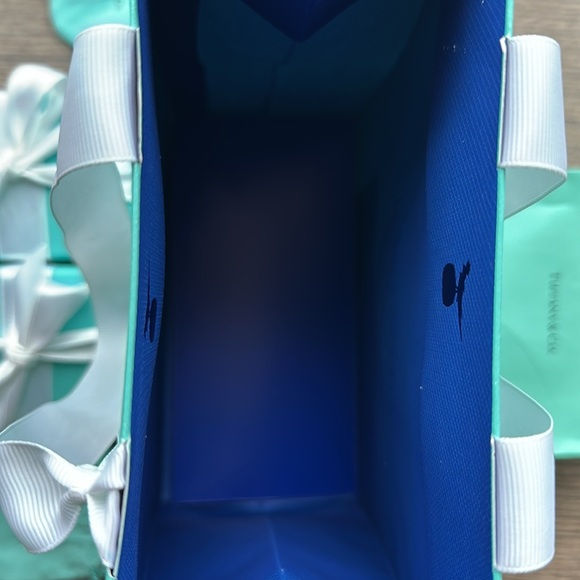 Tiffany&Co. The Landmark 727 Fifth Ave. New York huge gift bag set w silver tag - Picture 5 of 9